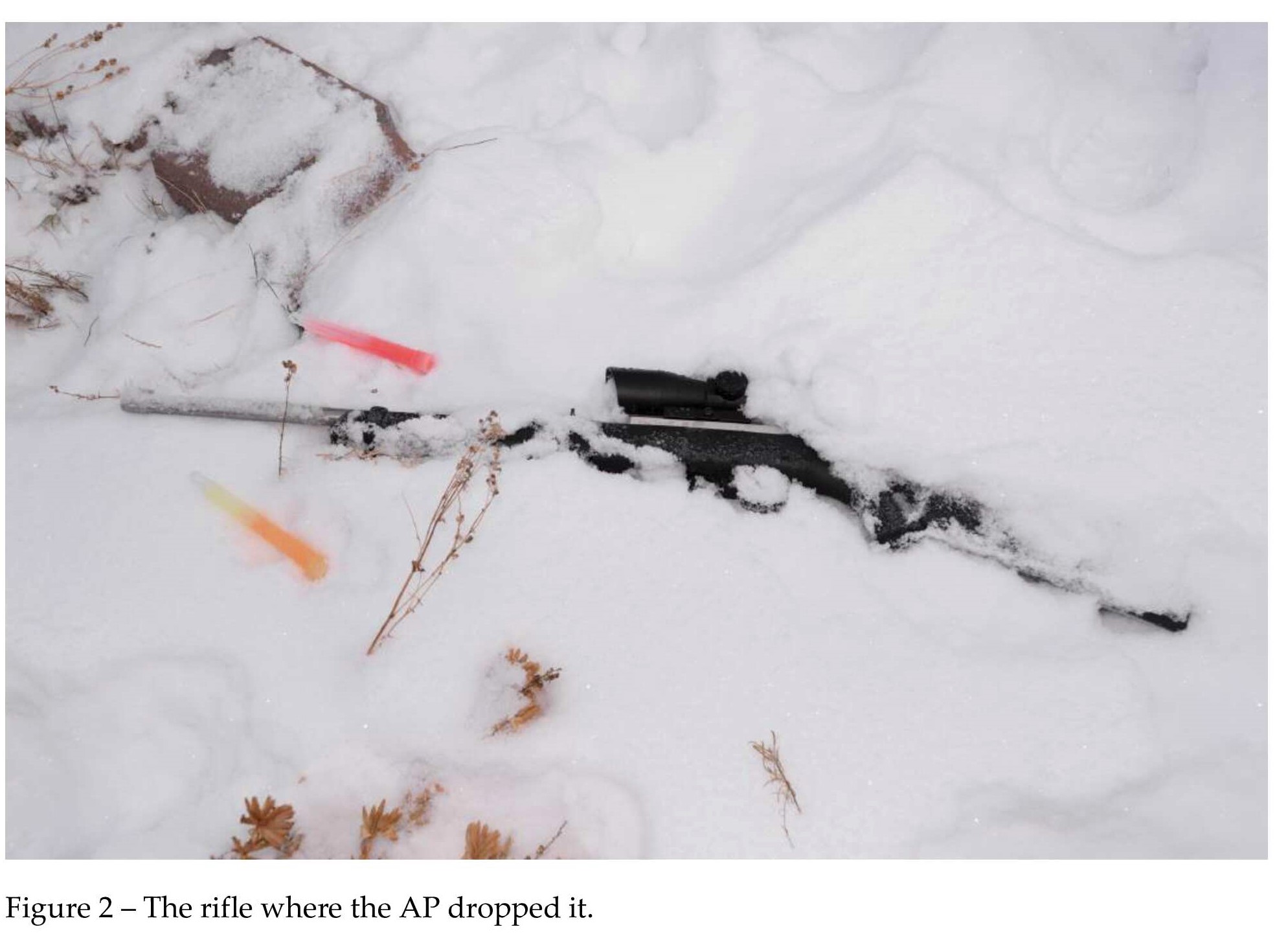 ASIRT releases report on 2019 Cochrane fatal standoff CochraneNow